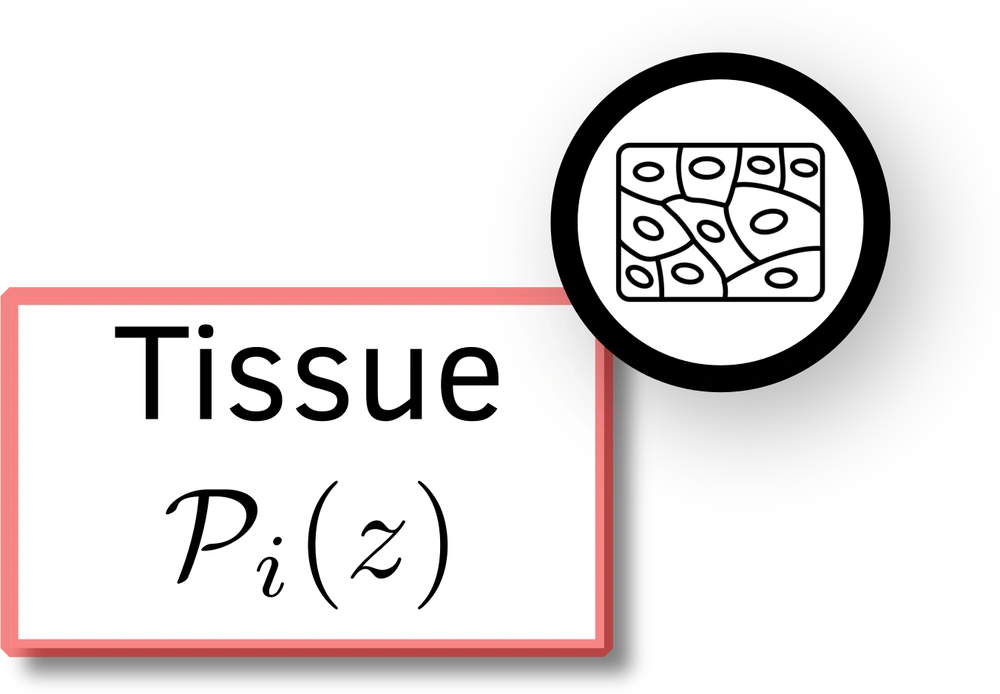 Tissue sampling